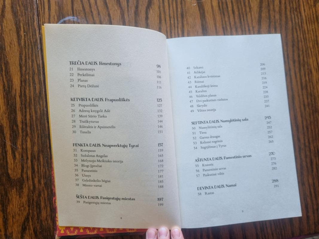 Kalėdų paršelis - Rowling J. K., knyga 6