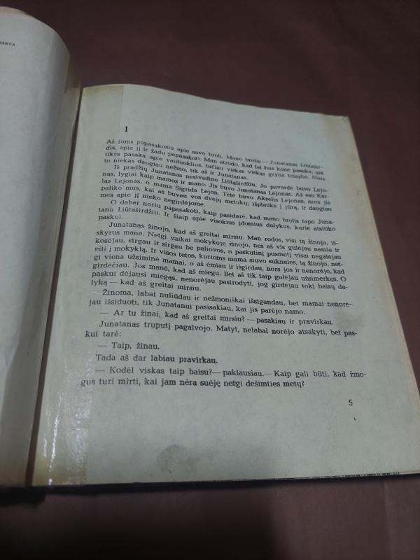 Broliai Liūtaširdžiai - Astrid Lindgren, knyga 5