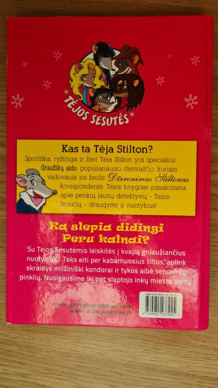 Slaptasis miestas - Tėja Stilton, knyga 3