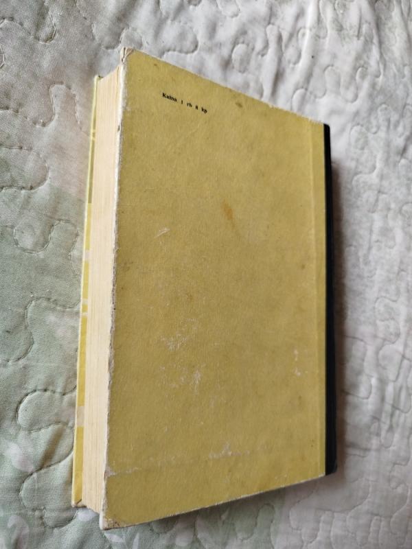 Kapitono Blado odisėja - Rafaelis Sabatinis, knyga 6