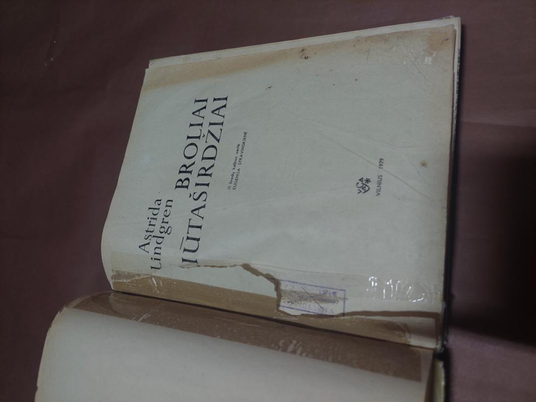 Broliai Liūtaširdžiai - Astrid Lindgren, knyga 4
