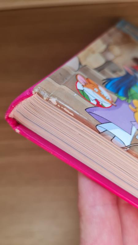 Slaptasis miestas - Tėja Stilton, knyga 4