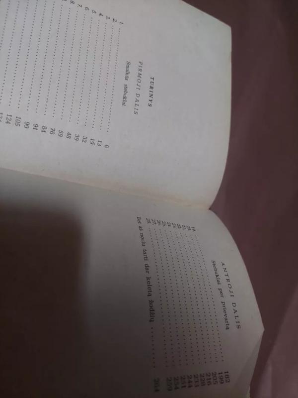 Burtininkas eina per miestą - J. Tominas, knyga 3