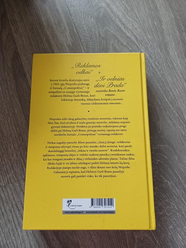 Vasara parko aveniu - Renee Rosen, knyga 3