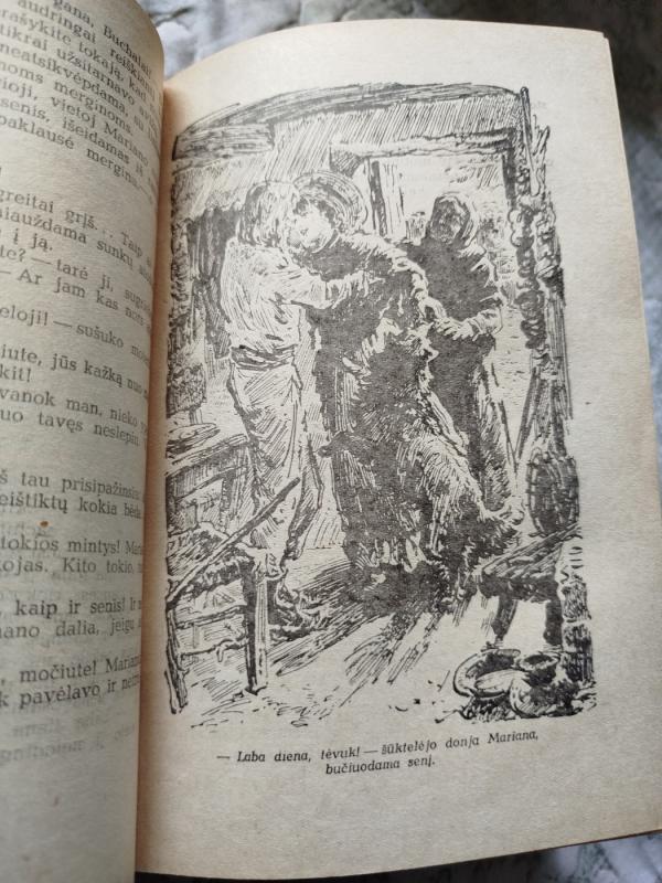 Tvirtoji ranka - Gustavas Emaras, knyga 5