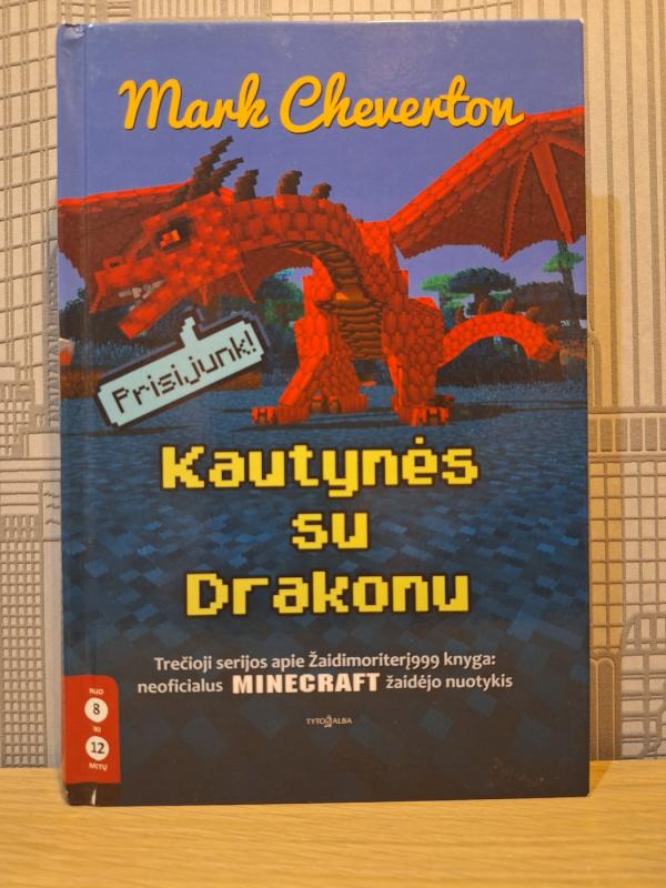 Invazija į Tikrąjį pasaulį (1-oji serijos apie Žaidimoriterį999 knyga) - Mark Cheverton, knyga 5