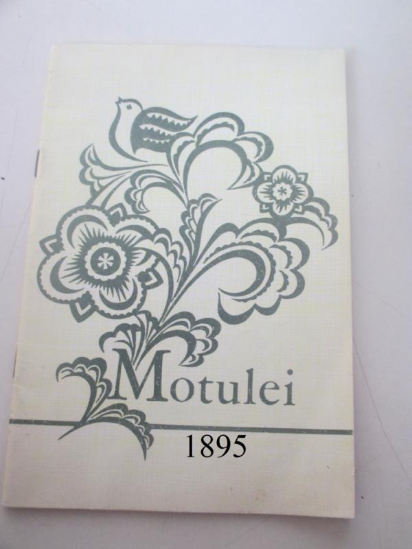 Motulei - R. Šemetaitė J. Ambrazevičius, knyga 2