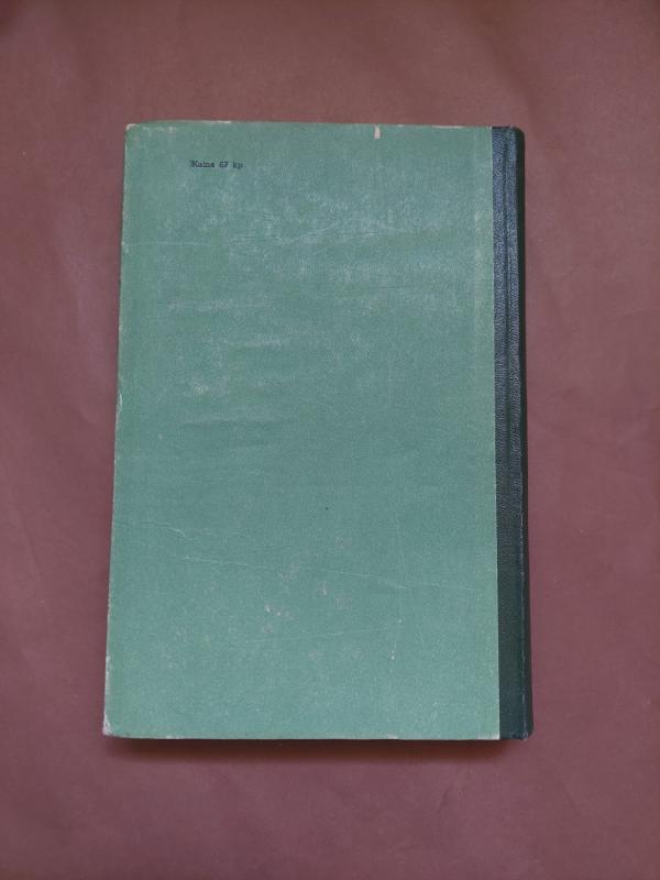 Černigovietė - F. Vigdorova, knyga 4