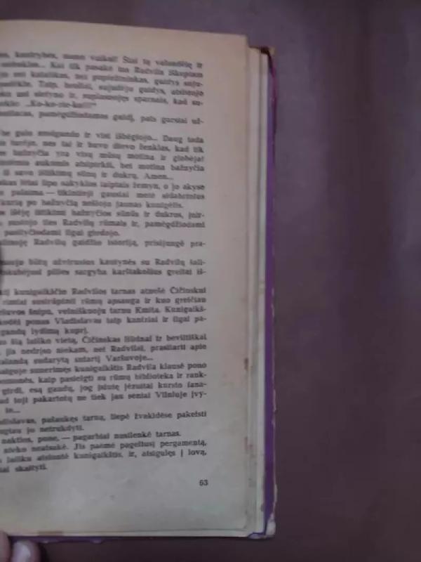 Čičinskas - Vytautas Misevičius, knyga 5