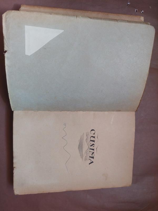 Cusima I ir II tomai - Aleksejus Novikovas-Pribojus, knyga 3