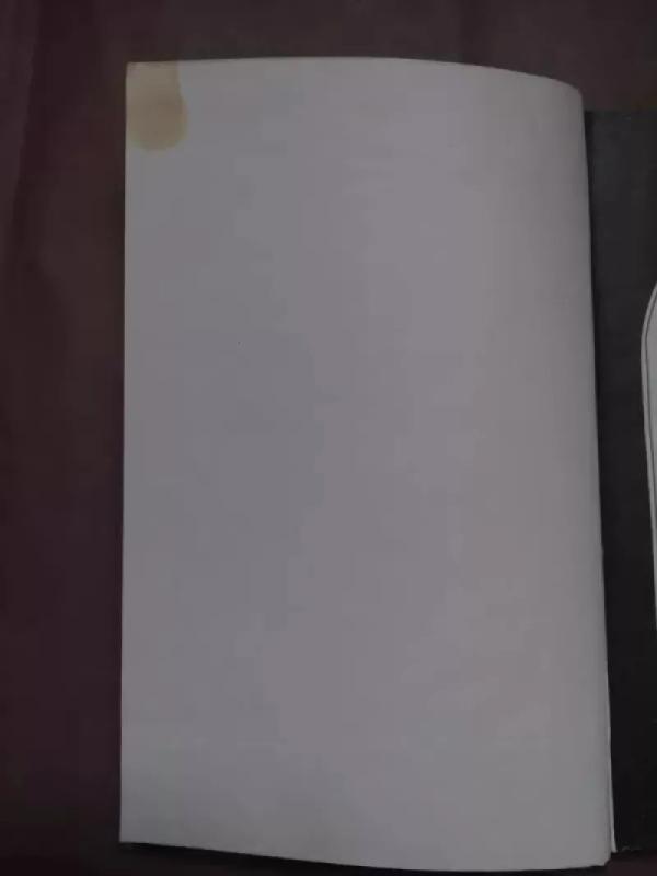 Didysis Mikelandželas - Irvingas Stounas, knyga 3