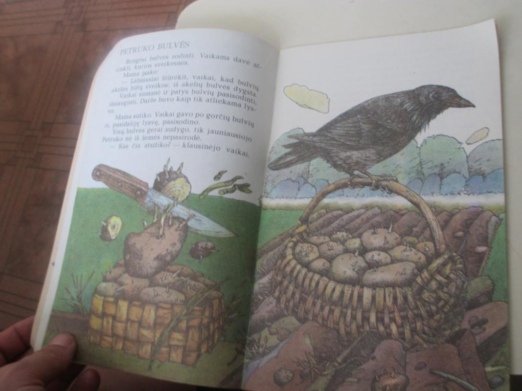 Kaziukas sodžiuje - Pranas Mašiotas, knyga 6