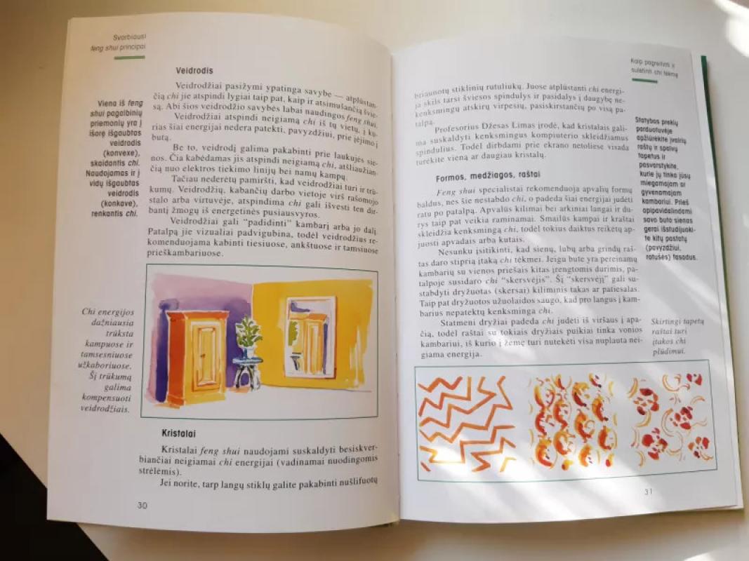 Feng Shui - Karola Berger, knyga 3