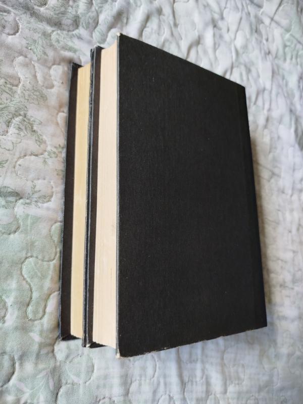 Kryžiuočiai (2 tomai) - Henrikas Senkevičius, knyga 6