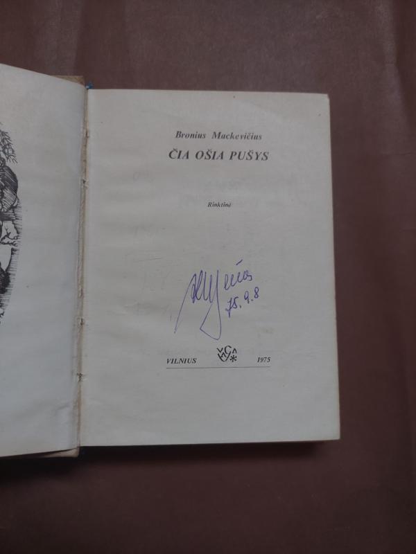 Čia ošia pušys - Bronius Mackevičius, knyga 3