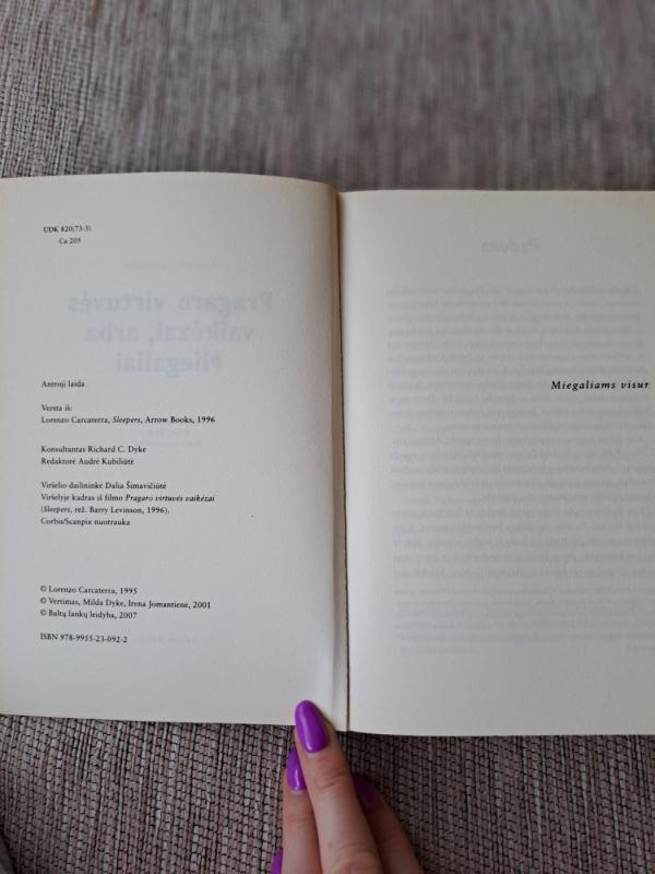 Pragaro virtuvės vaikėzai, arba Miegaliai - Lorenzo Carcaterra, knyga 3