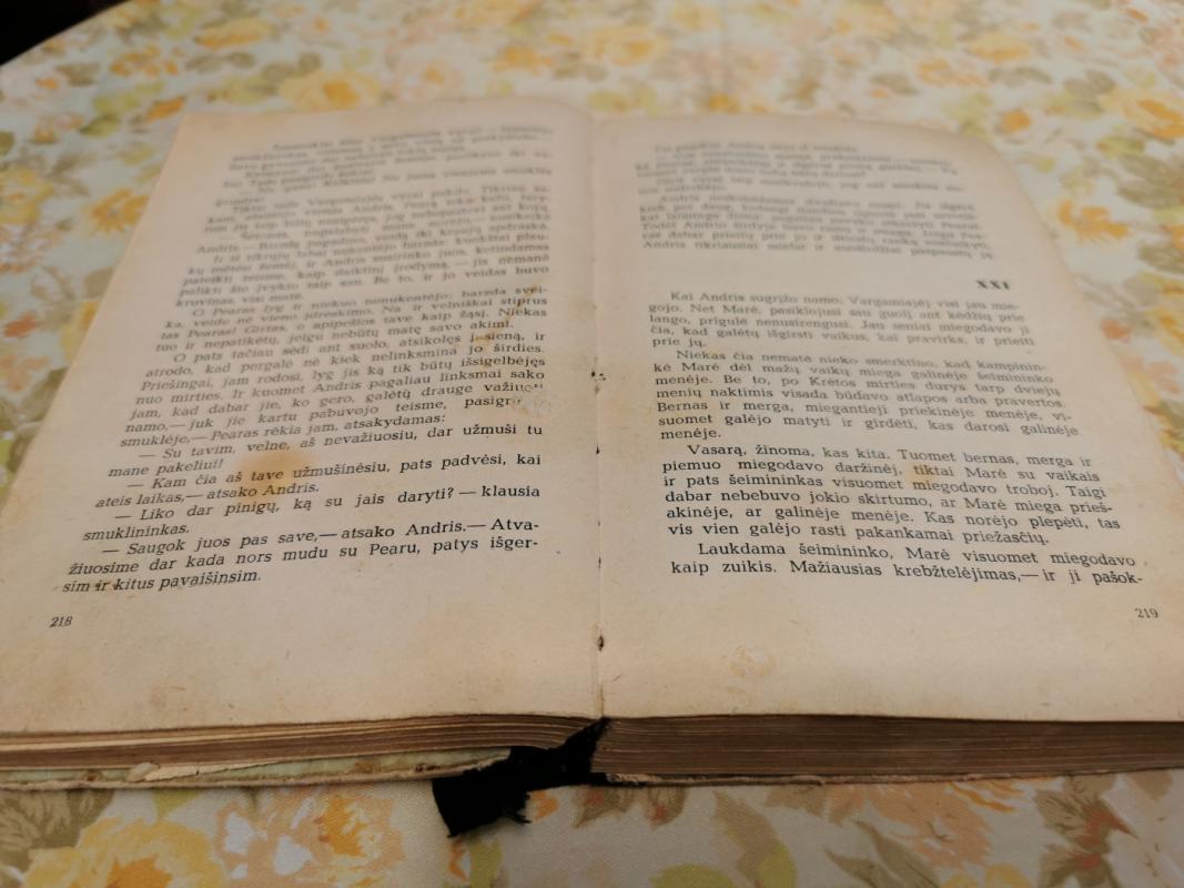 Tiesa ir teisingumas - Antonas Tamsarė, knyga 4