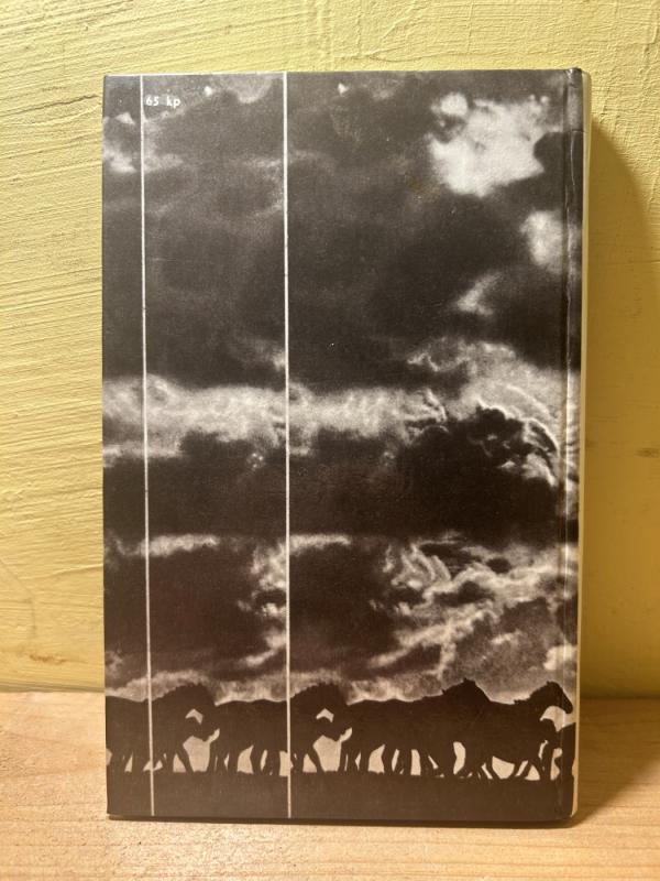 Oi, žirge žirge - Eugenijus Danilevičius, knyga 3