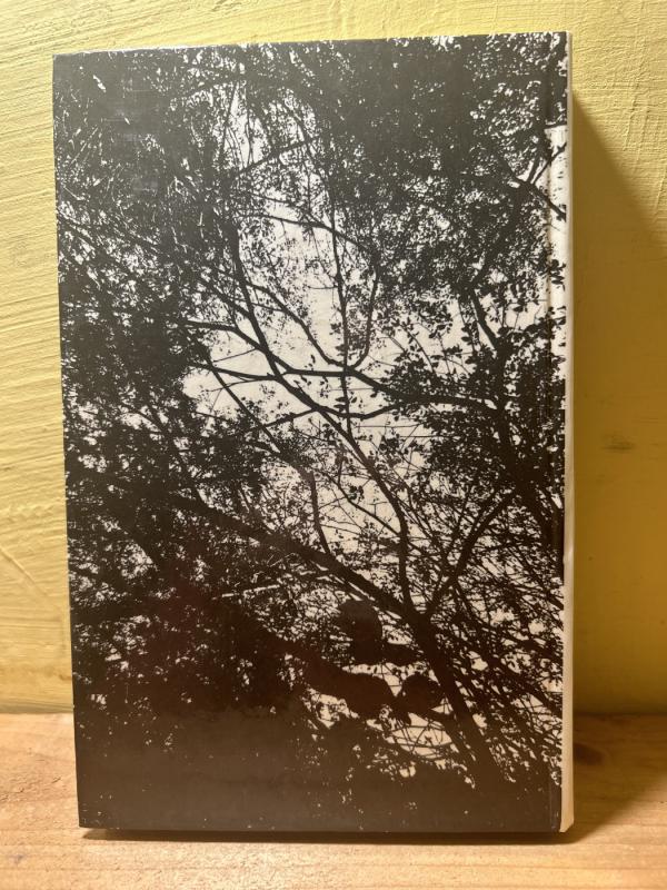 Šimtas metų vienatvės - Gabriel Garcia Marquez, knyga 4