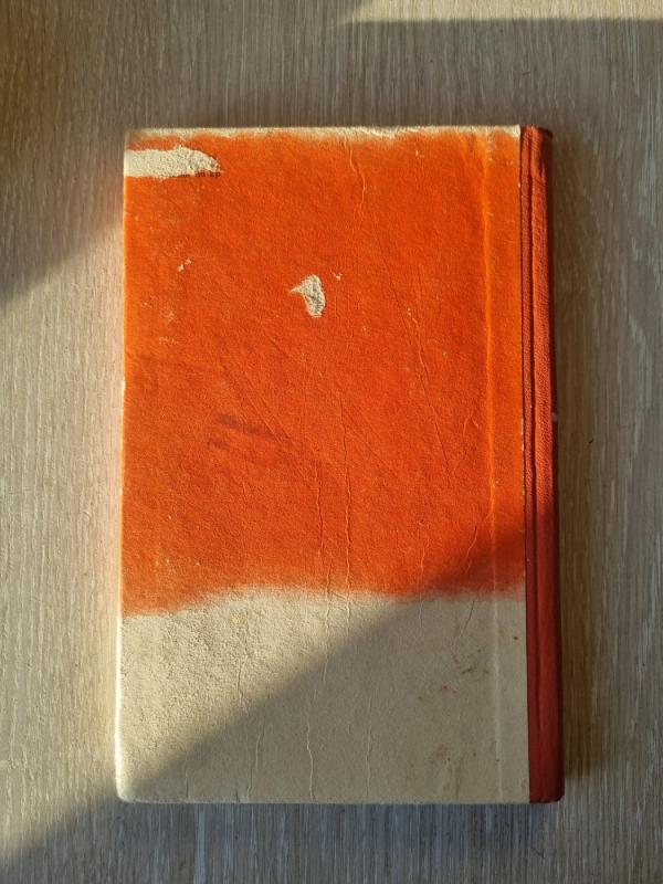 Meri Džeinė - Dorotė Sterling, knyga 2