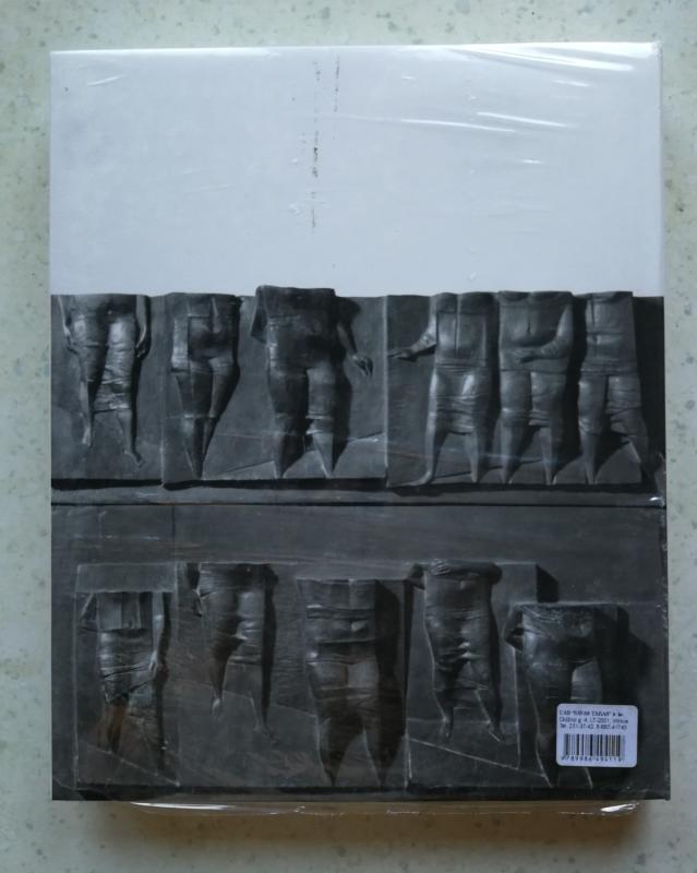 Vytautas Kašuba - Irena Kostkevičiūtė, knyga 3