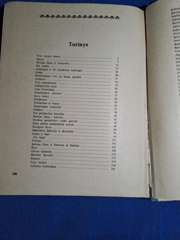 Kurdų pasakos. Viesulo raitelis - Autorių Kolektyvas, knyga 2