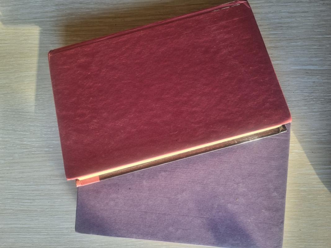 Grafienė de Monsoro (2 tomai) - Aleksandras Diuma, knyga 3