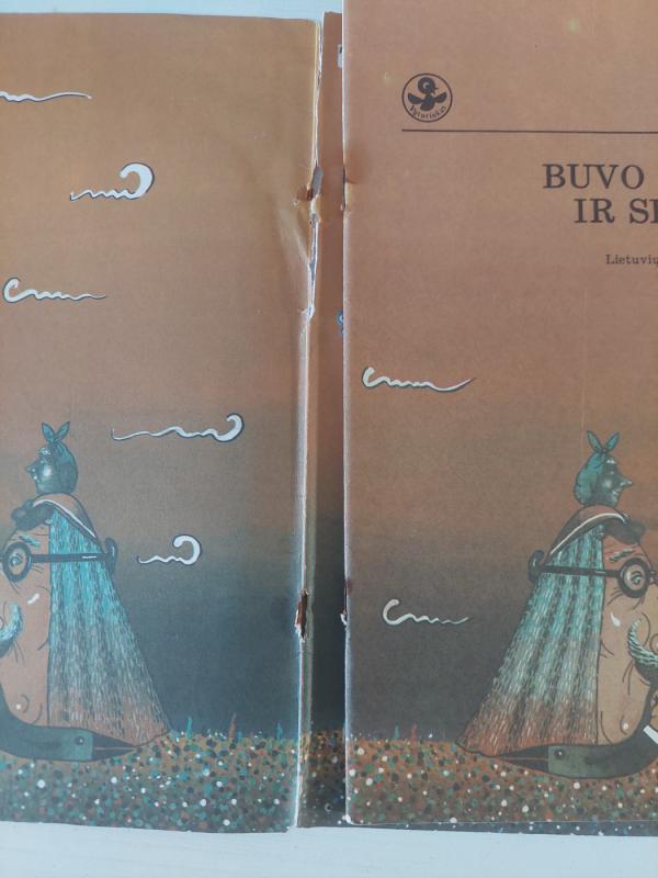 Buvo senis ir senutė - Autorių Kolektyvas, knyga 5