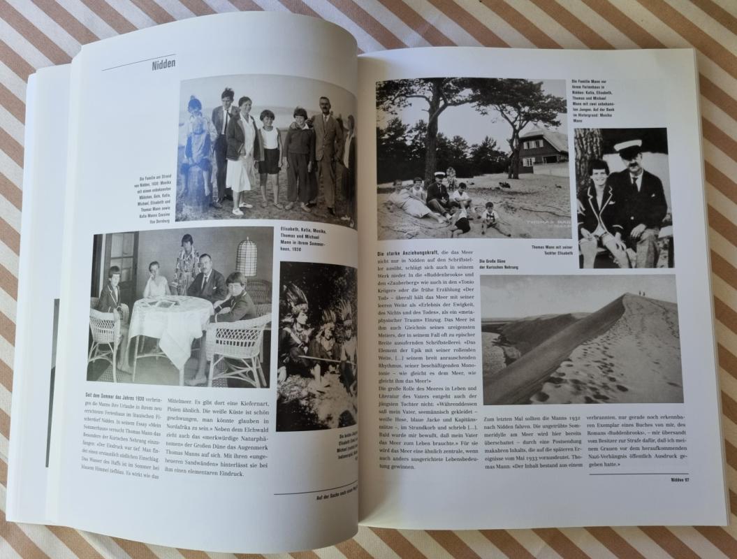 Die Kinder der Manns Ein Familienalbum      Herausgegeben von: Dr. Uwe Naumann - Uve Naumann, knyga 3