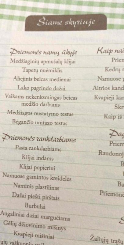 Gaminame patys - Autorių Kolektyvas, knyga 6