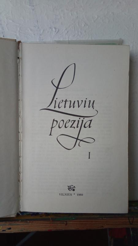 Lietuvių poezija (2 tomai) - Autorių Kolektyvas, knyga 4
