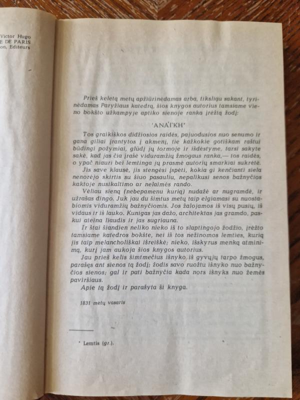 Paryžiaus katedra - Viktoras Hugo, knyga 4