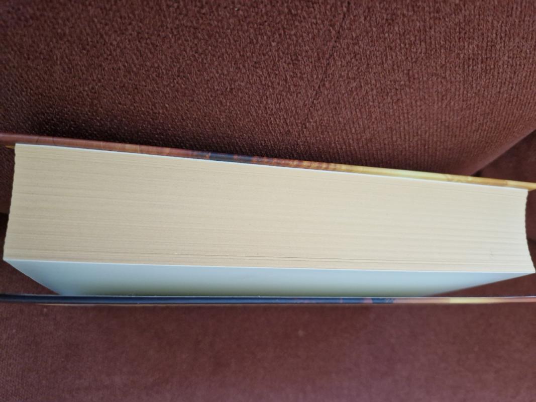 Ledi Afrika - Paula Mclain, knyga 4