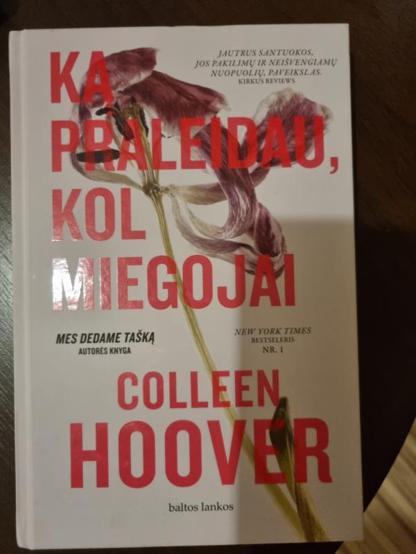 Ką praleidau, kol miegojai - Colleen Hoover, knyga 2