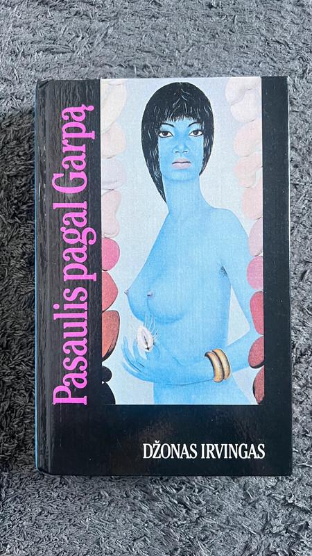 Pasaulis pagal Garpą - D. Irvingas, knyga 2