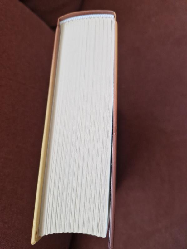 Ledi Afrika - Paula Mclain, knyga 3