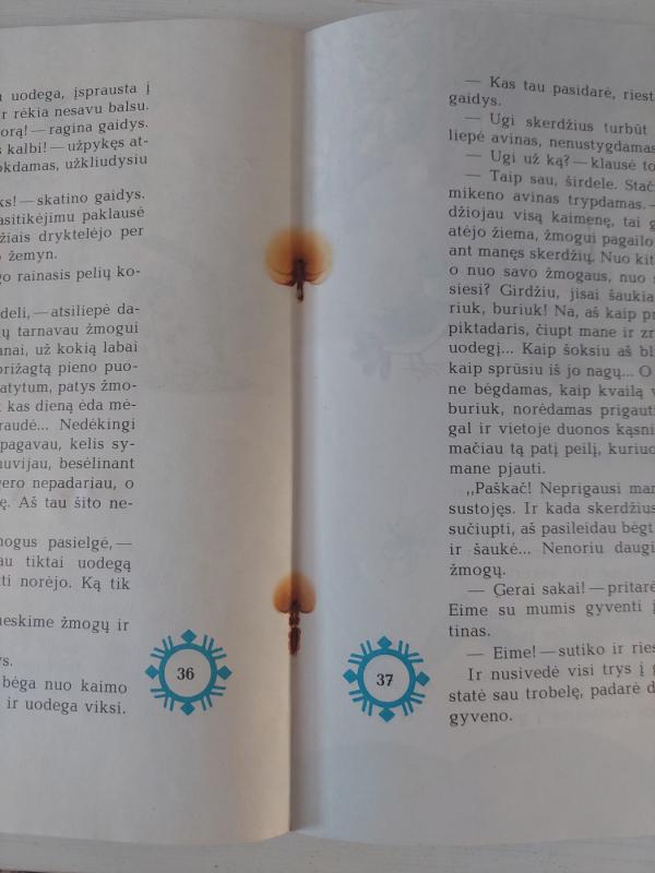 Lapės gyvenimas ir mirtis - Vincas Pietaris, knyga 3