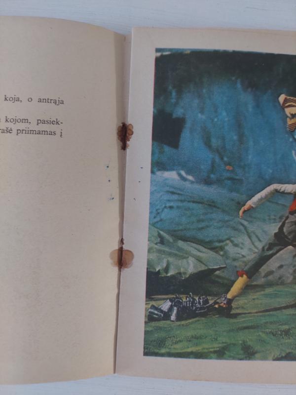 Pelenius ir gerieji padėjėjai - P.K. Asbjernsenas, knyga 6