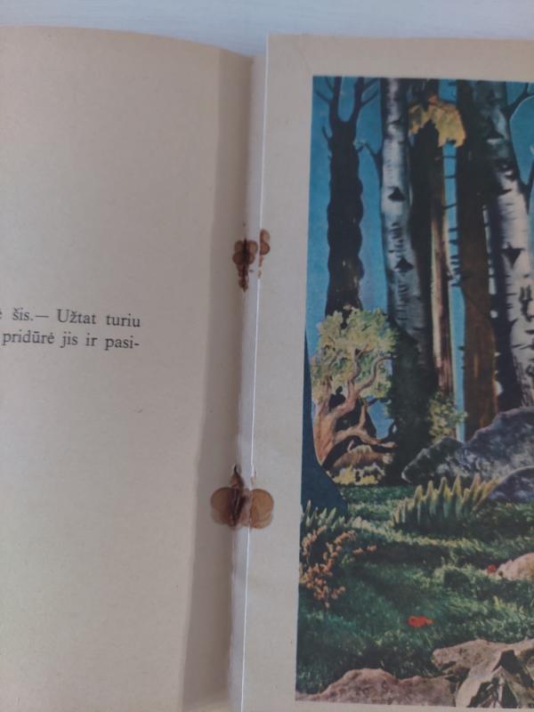 Pelenius ir gerieji padėjėjai - P.K. Asbjernsenas, knyga 5