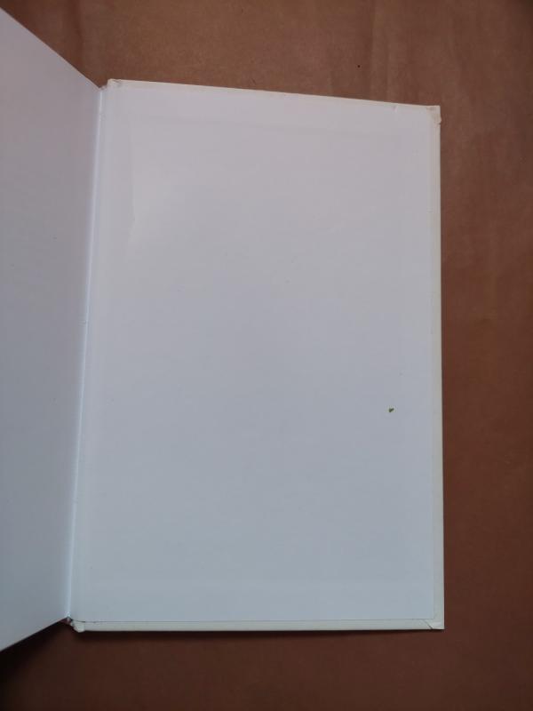 Debesėlis, vertas milijono! - Jūratė Jadkonytė-Petraitienė, knyga 5