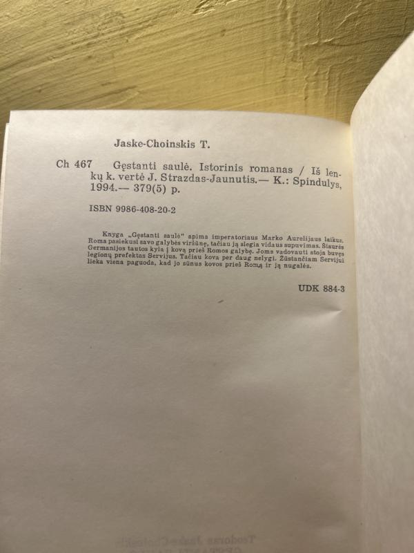 Gęstanti saulė - Teodoras Jaske-Choinskis, knyga 3