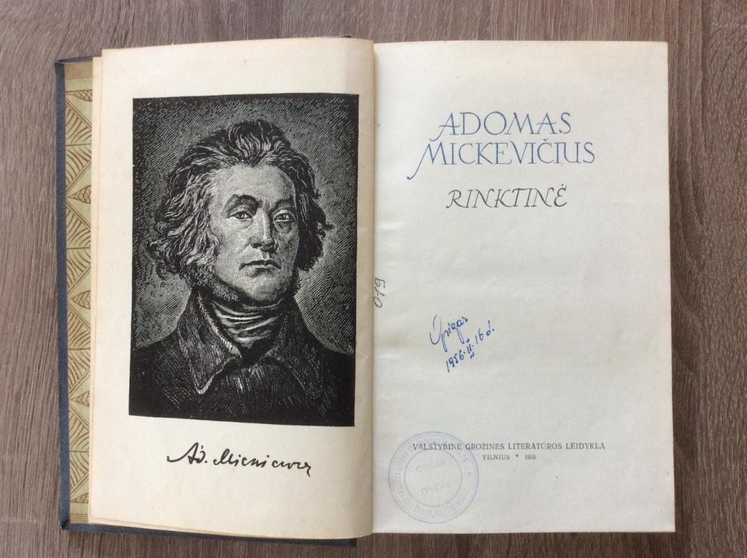 Rinktinė - Adomas Mickevičius, knyga 3