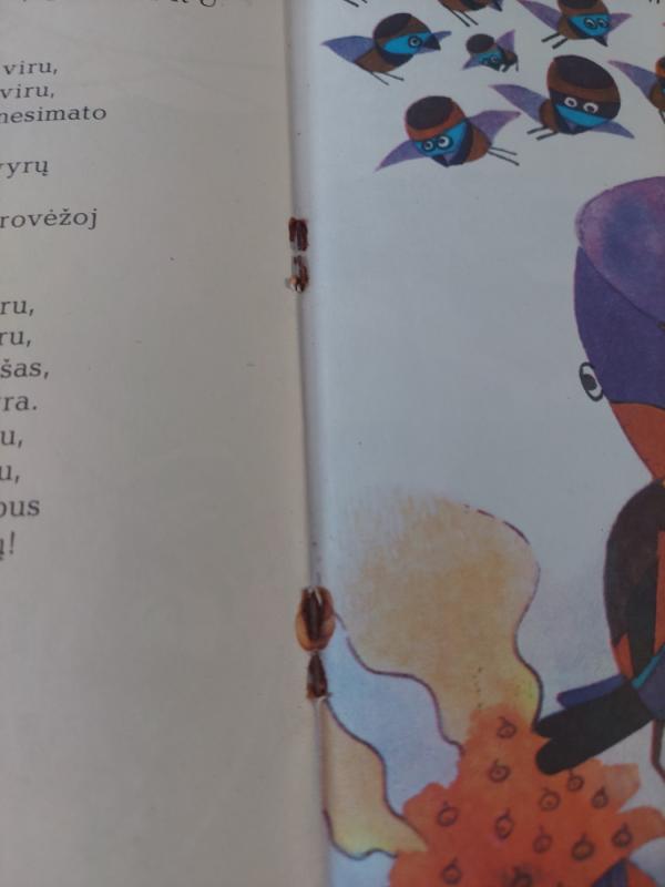 Su margu skėčiu - Pranciška Stravinskaitė, knyga 3