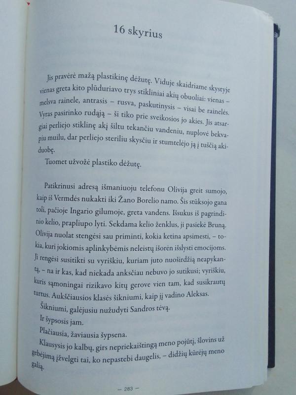 Trečiasis balsas - Cilla ir Rolf Borjlind, knyga 6