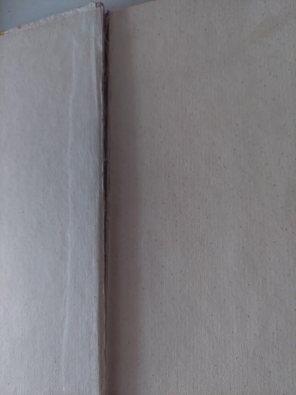 Gintarėliai - Kostas Kubilinskas, knyga 5