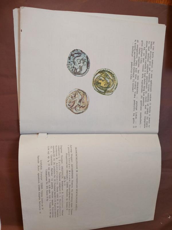 Delfinija - Dagmar Normet, knyga 6