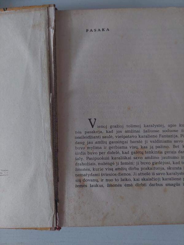 Pasakos - V. Haufas, knyga 4