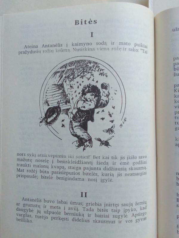 Šimtas apsakymėlių - Kristofas von Šmidas, knyga 6