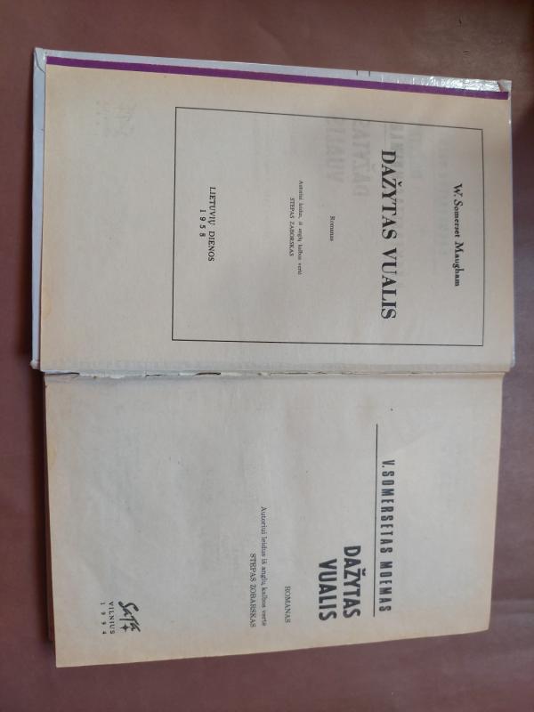 Dažytas vualis - Viljamas Somersetas Moemas, knyga 4