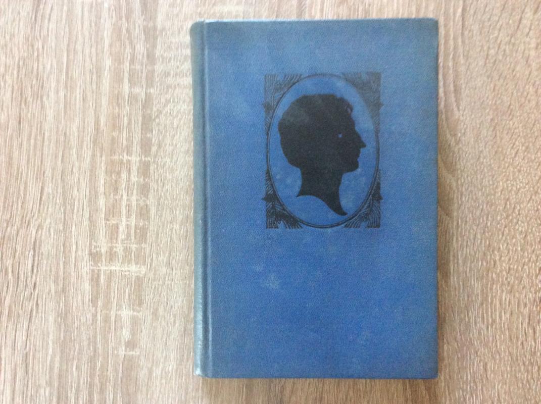 Rinktinė - Adomas Mickevičius, knyga 2